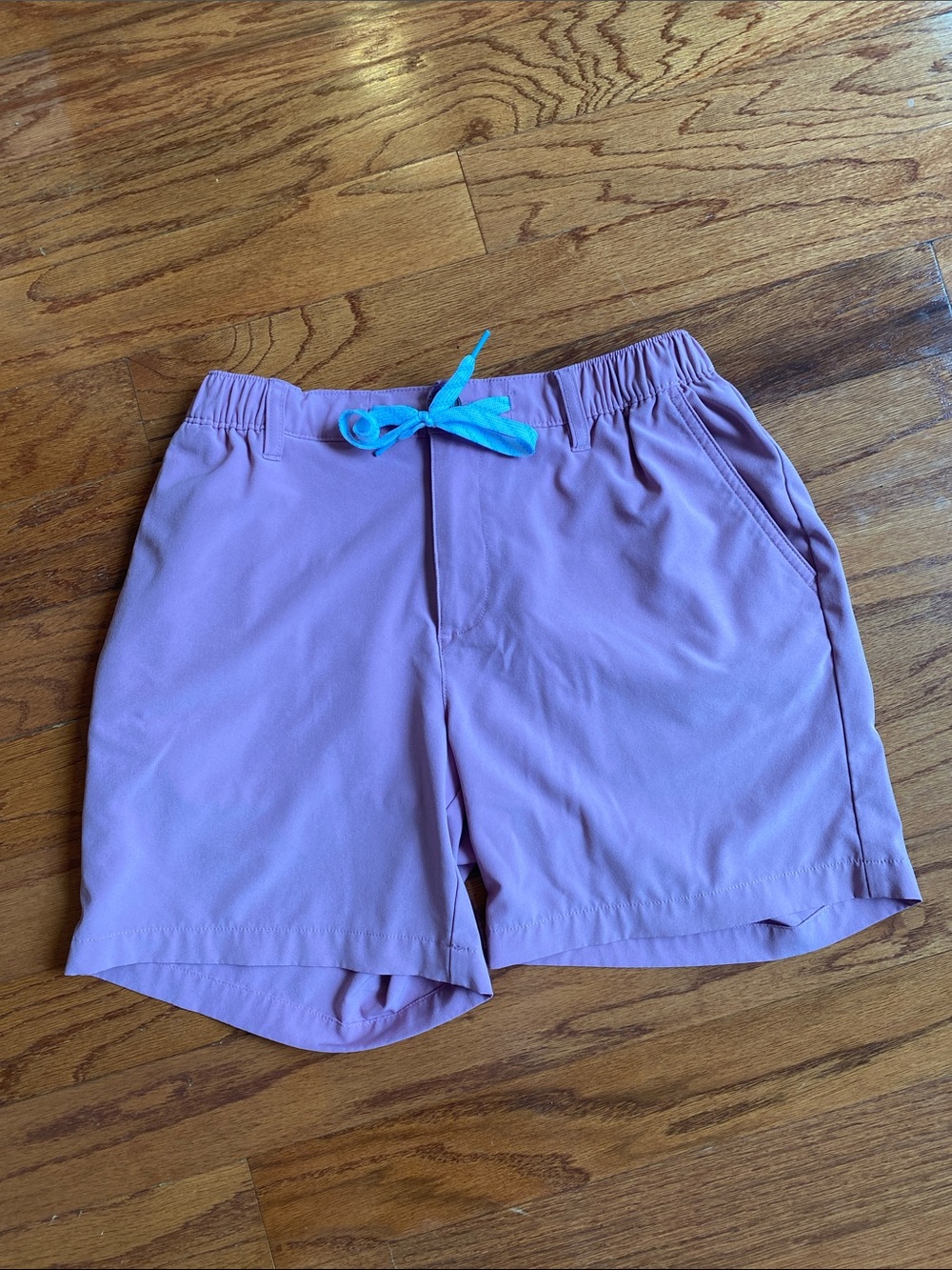 Chubbies Everywhere Shorts